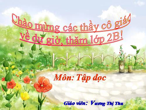 Tuần 31. Chiếc rễ đa tròn