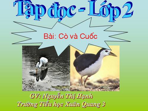 Tuần 22. Cò và Cuốc