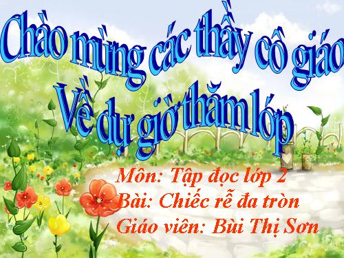 Tuần 31. Chiếc rễ đa tròn
