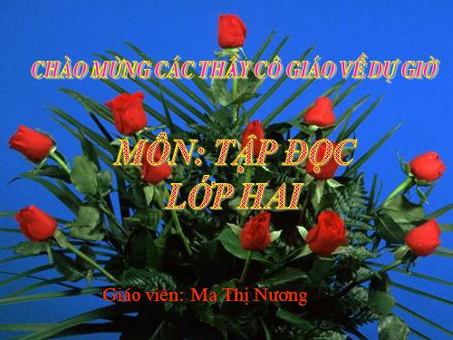 Tuần 28. Cây dừa