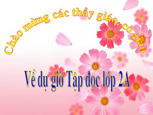 Tuần 7. Người thầy cũ