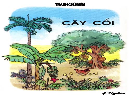 TRANH BÀI KHO BÁU