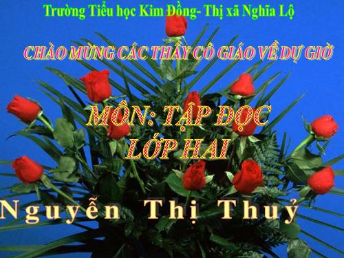 Tuần 28. Cây dừa