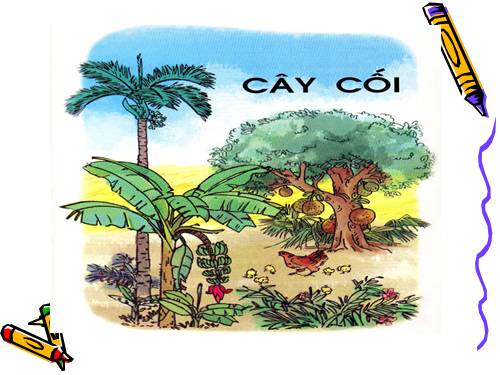 Tuần 28. Kho báu