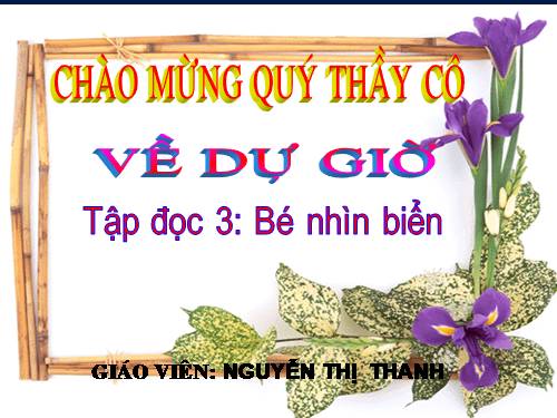 Tuần 25. Bé nhìn biển