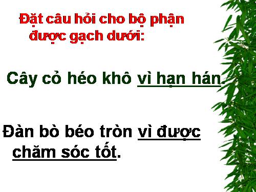 bài Giảng điện tử