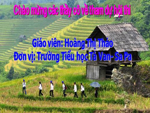 Tuần 24. Voi nhà