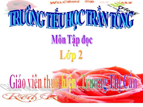 Tuần 13. Quà của bố
