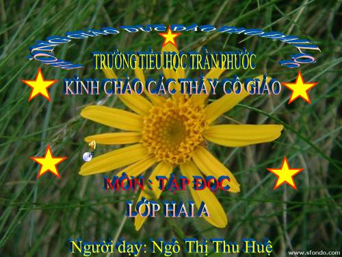 Tuần 12. Mẹ