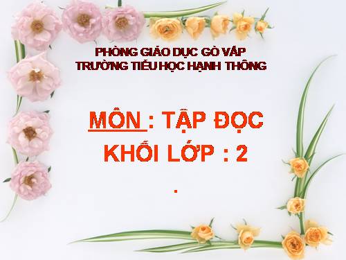 Tuần 31. Chiếc rễ đa tròn