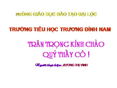 Tuần 31. Chiếc rễ đa tròn