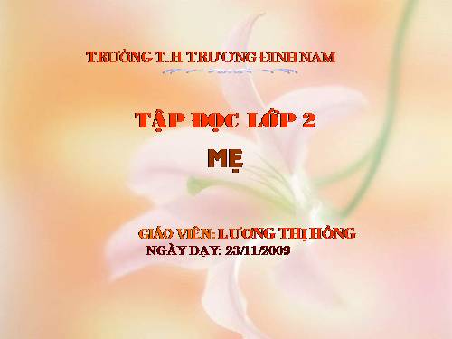 Tuần 12. Mẹ