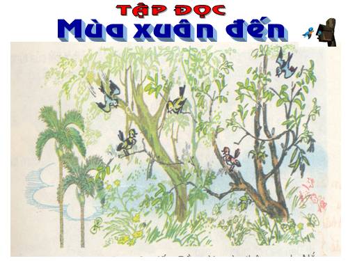 Tuần 20. Mùa xuân đến