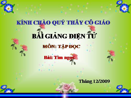 Tuần 17. Tìm ngọc