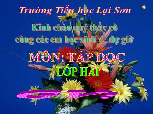 Tuần 20. Mùa xuân đến