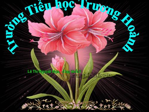 Tuần 12. Mẹ