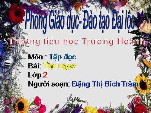 Tuần 17. Tìm ngọc