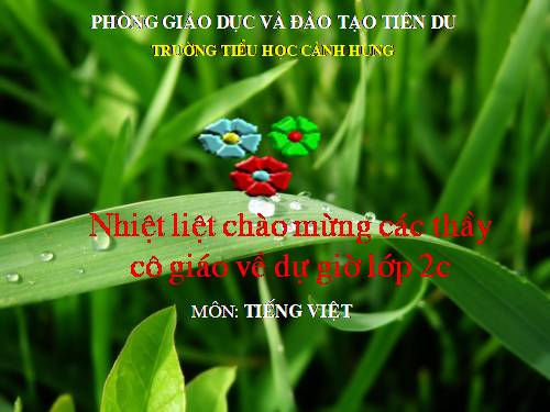 Tuần 5. Chiếc bút mực