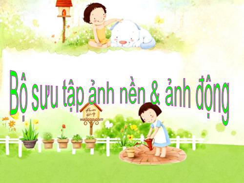 Bộ sưu tập hình nền & ảnh động