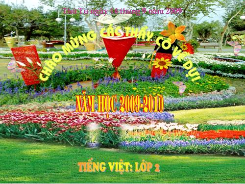 Tuần 2. Làm việc thật là vui