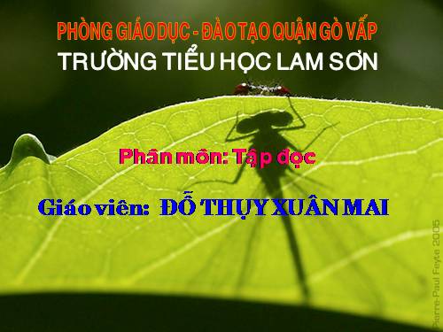 Tuần 22. Cò và Cuốc