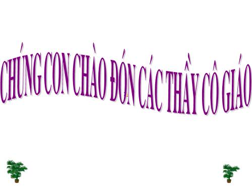 Tuần 11. Bà cháu