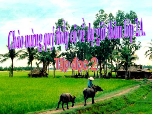 Tuần 8. Bàn tay dịu dàng