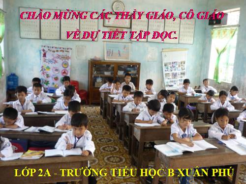 Tuần 8. Bàn tay dịu dàng