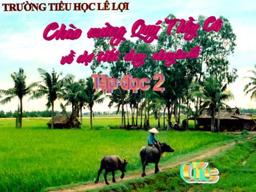Tuần 8. Bàn tay dịu dàng