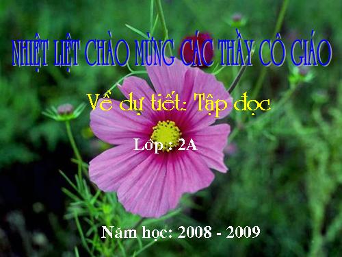 Tuần 23. Nội quy Đảo khỉ