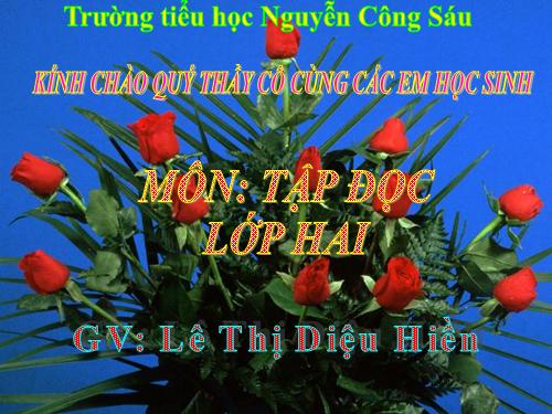 Tuần 28. Cây dừa