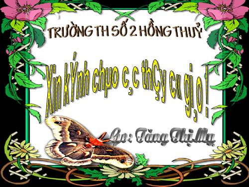 Tuần 28. Cây dừa