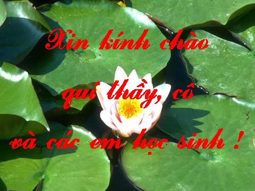 Tuần 19. Thư Trung thu