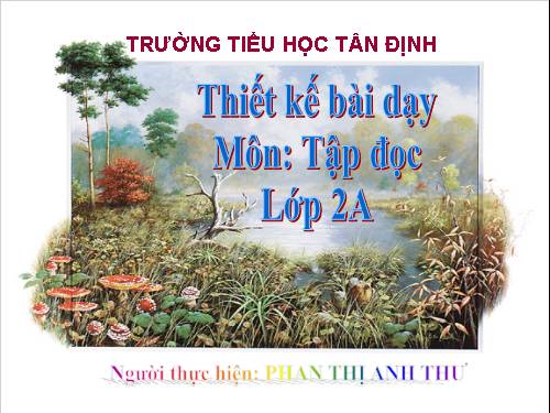 Tuần 24. Voi nhà