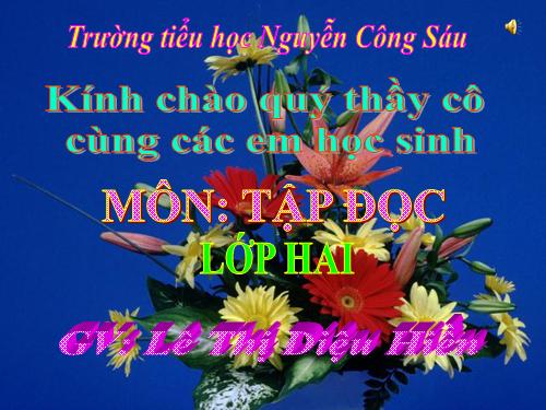 Tuần 20. Mùa xuân đến