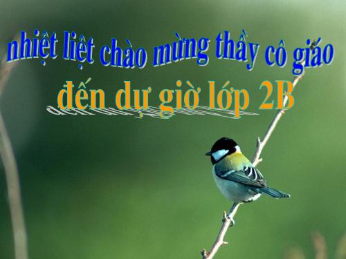 Tuần 21. Chim sơn ca và bông cúc trắng