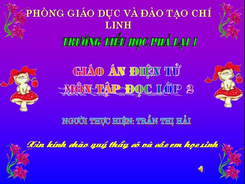 Tuần 17. Tìm ngọc