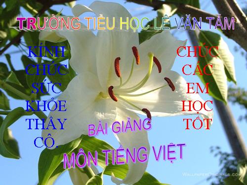 Tuần 17. Gà tỉ tê với gà