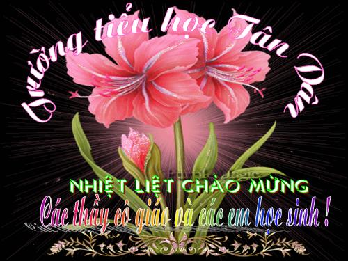 Tuần 15. Bé Hoa