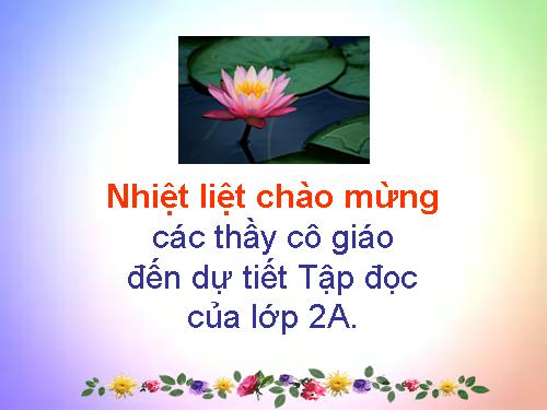 Tuần 8. Bàn tay dịu dàng