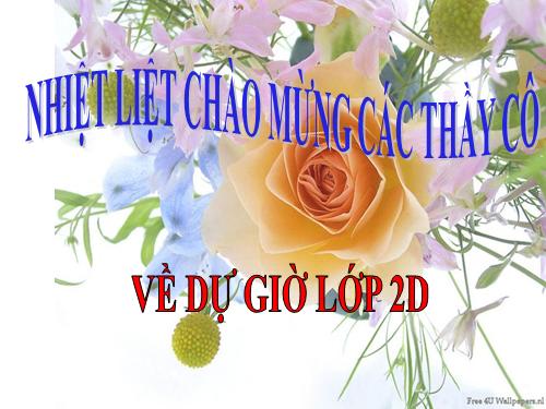 Tuần 11. Cây xoài của ông em