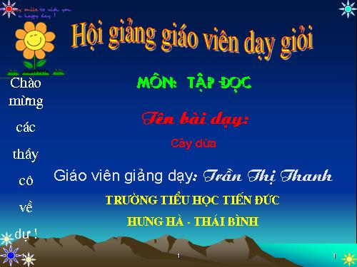 Tuần 28. Cây dừa