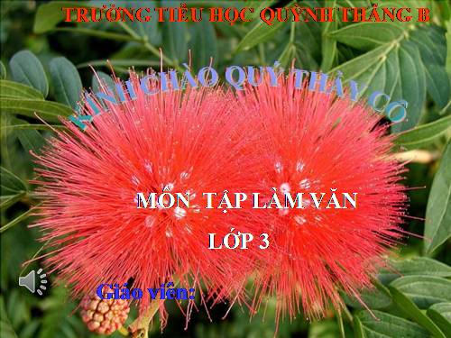 TẬP LÀM VĂN LỚP 3. TUẦN 19