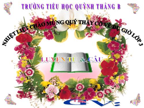 LUYỆN TỪ&CÂU LỚP 3. TUẦN 19