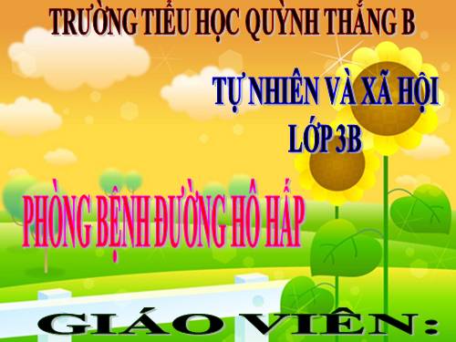 TNXH LỚP 3. BÀI 4