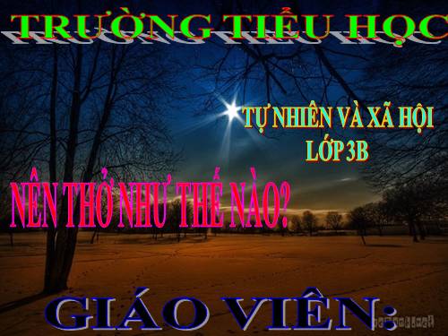 TNXH LỚP 3. BÀI 2