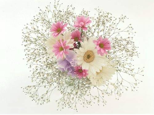 Chia số có bốn chữ số cho số có một chữ số