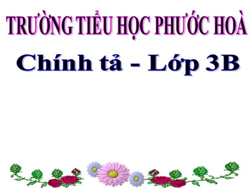Chính tả Hạt Mưa