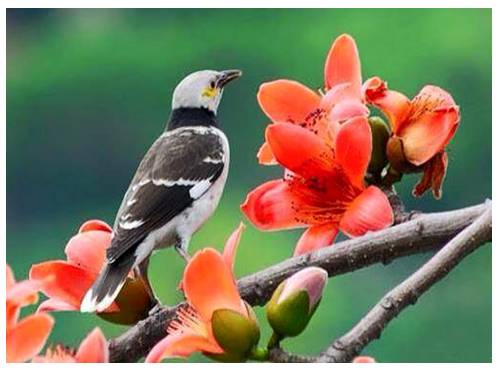 Chia số có năm chữ số cho số có một chữ số