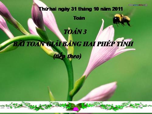 Bài toán giải bằng hai phép tính